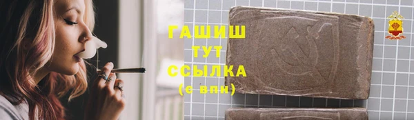 индика Алзамай