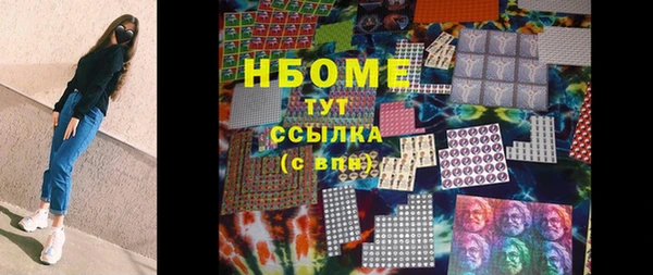 индика Алзамай