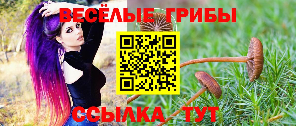 Галлюциногенные грибы мицелий  Вход с VPN  Урай  Галлюциногенные грибы прущие грибы 